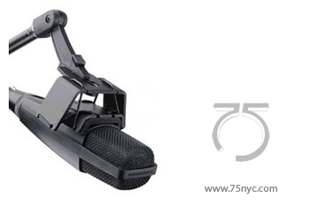 Enlarged view of image